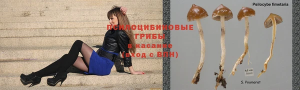 марки lsd Кинешма