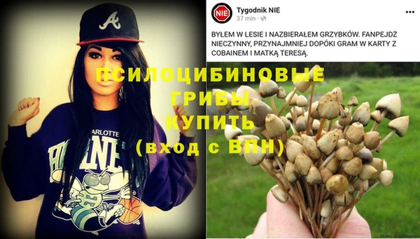 дурь Киренск